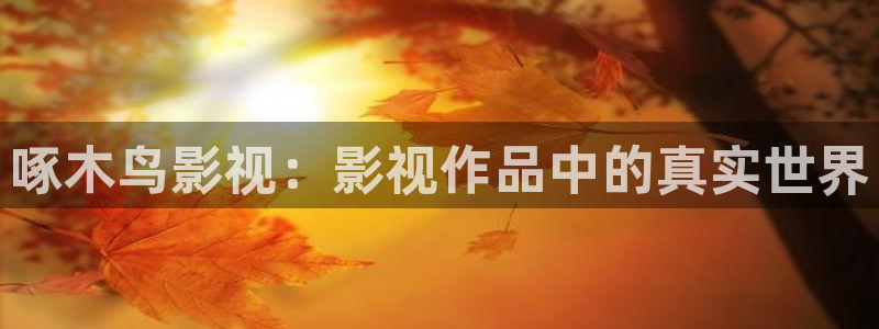 黑蚂蚁电视剧全集在线观看：啄木鸟影视：影视作品中的真实世界