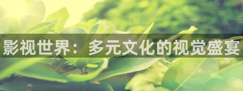 黑蚂蚁电视剧全集观看