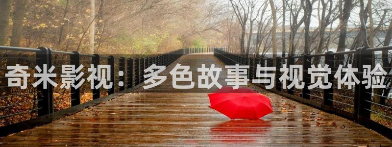 黑蚂蚁影