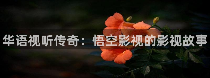 黑蚂蚁影视电视剧免费大全：华语视听传奇：悟空影视的影视故事