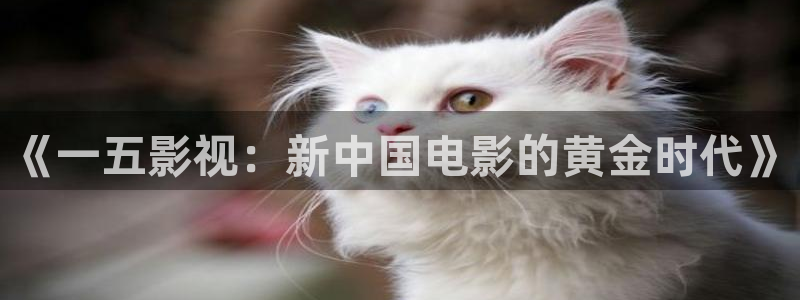 黑蚂蚁影院在线观看全集免费观看：《一五影视：新中国电影的黄金时代》