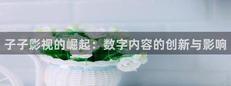 电视剧 黑蚂蚁：子子影视的崛起：数字内容的创新与影响