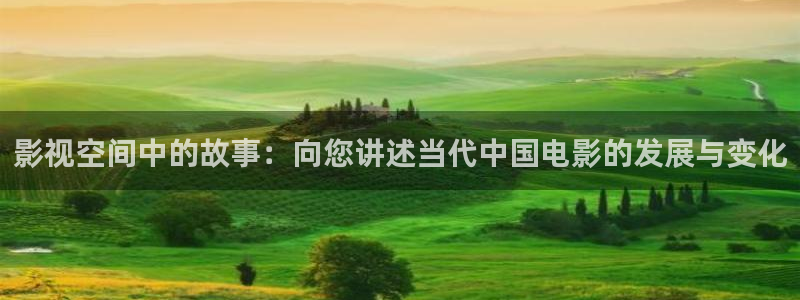 大黑蚂蚁图片