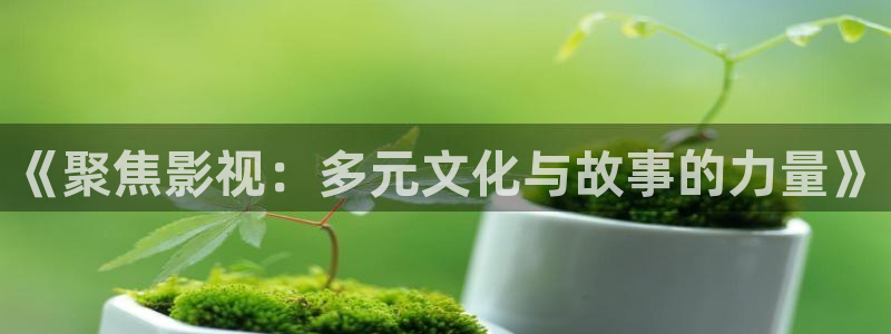 黑蚂蚁影视剧大全：《聚焦影视：多元文化与故事的力量》