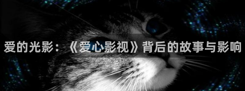 黑蚂蚁影视大全在线观看：爱的光影：《爱心影视》背后的故事与影响
