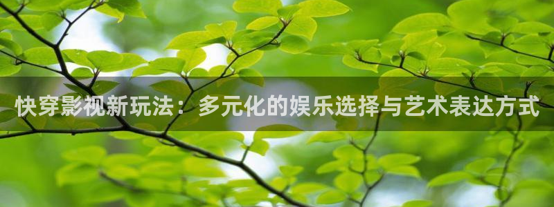 黑蚂蚁影视最新电影：快穿影视新玩法：多元化的娱乐选择与艺术表达方式