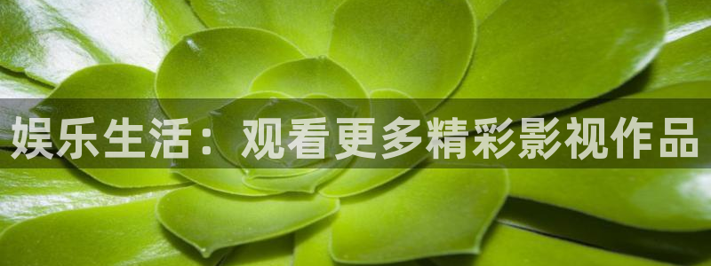 黑蚂蚁视频全集