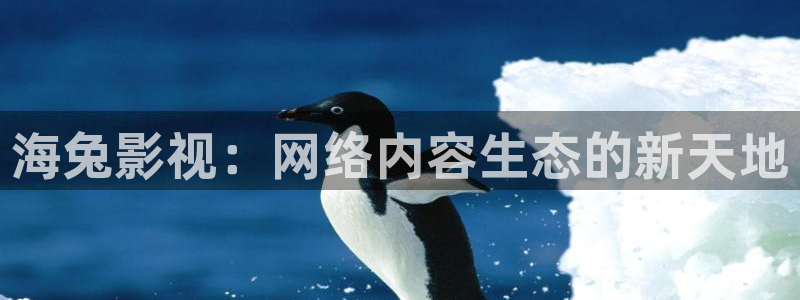 黑蚂蚁影院在线播放