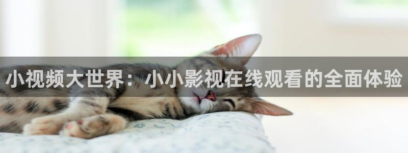 黑蚂蚁视频电视剧